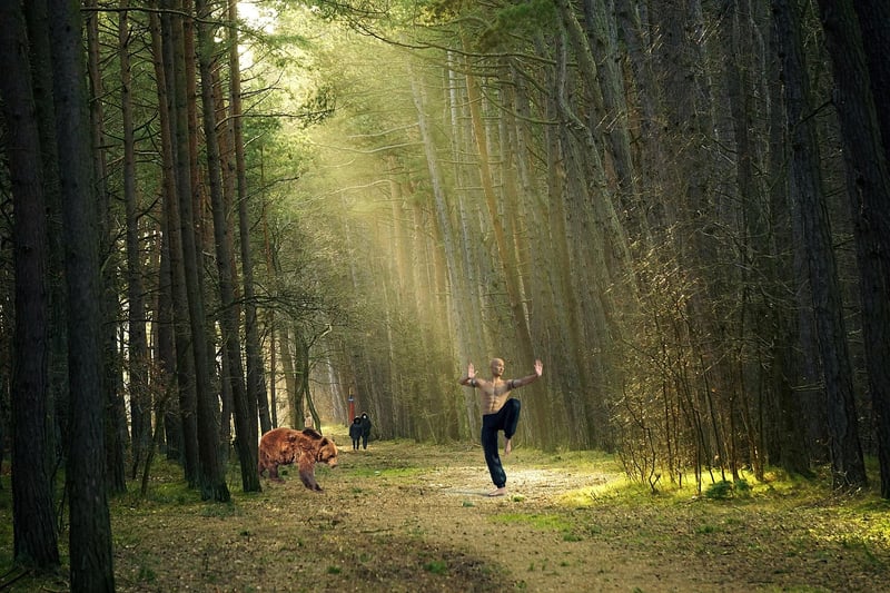 Chen Style Chinese Martial Arts